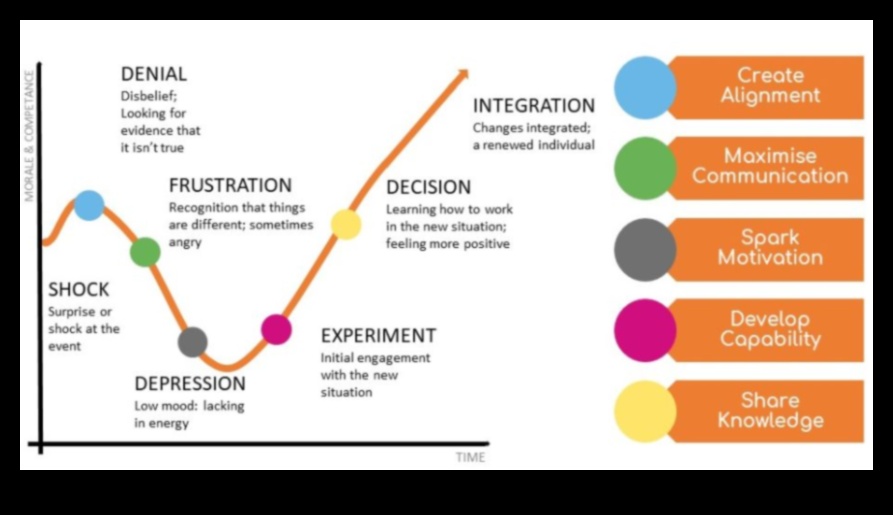 رمز بدء التشغيل: فك رموز النجاح في ريادة الأعمال