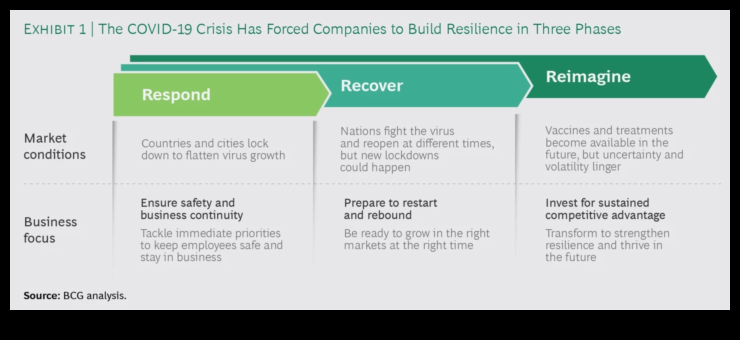 مرونة الأعمال: الازدهار في مواجهة تحديات البيانات