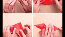 التصوير الفوتوغرافي المصنوع يدويًا: عرض إبداعاتك اليدوية