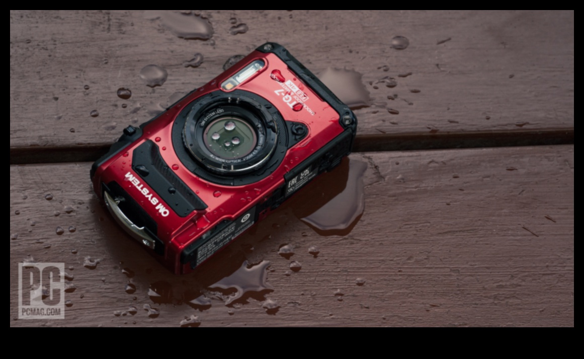 الكمال المحمول: كاميرات خفيفة الوزن للتصوير الفوتوغرافي أثناء التنقل