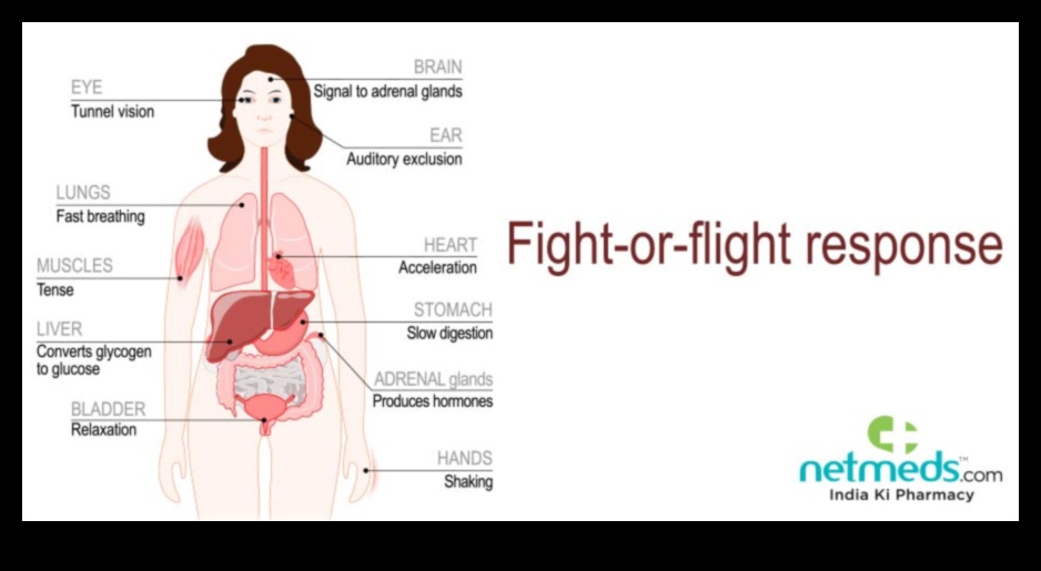 تضخيم الأدرينالين: إجراءات روتينية عالية التأثير لتحقيق أقصى قدر من الإثارة